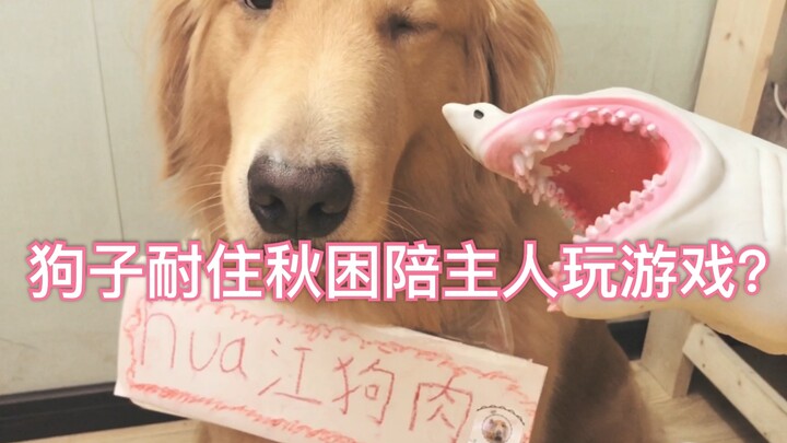 Hari Bersama Si Anjing yang Mengantuk di Musim Gugur