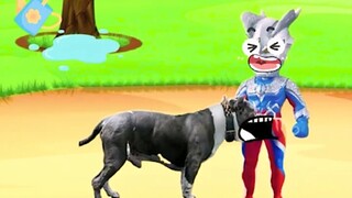 Little Cero was bitten by a dog!