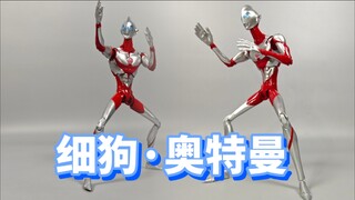 细 狗  ·  奥 特 曼