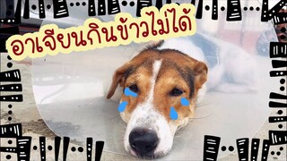 โลกของแสนดี ตอน อาการวันแรกหลังผ่าตัด