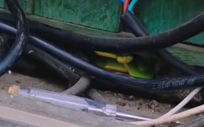 My master taught me: the yellow-green wire is the ground wire. You can touch it confidently—it’s saf