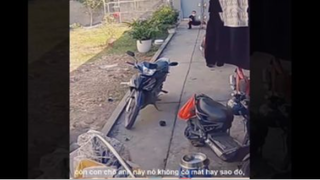 Review clip cuộc sống hằng ngày