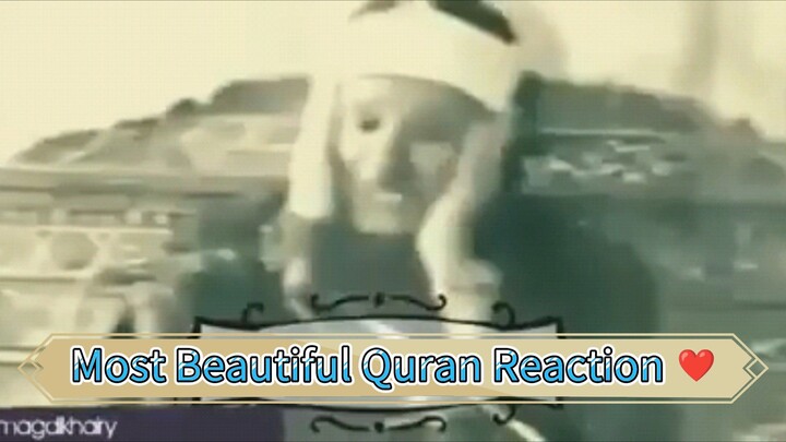 Beautiful Quran Reaction ❤️ এই তেলওয়াত যা শোনার পর অনেক ইয়াহুদী খ্রিস্টান ইসলাম গ্রহণ করেছিল। ❣️❣️