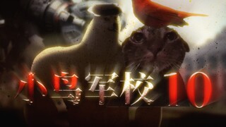 《小鸟军校》(10）——校尊·出关