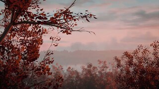 anime healing | .under the thicket  | anime short
