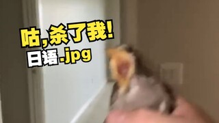 《画风突变の小雀雀》