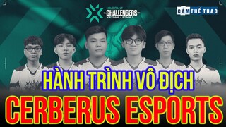 CERBERUS ESPORTS & HÀNH TRÌNH BẢO VỆ NGÔI VƯƠNG