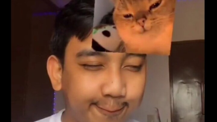 Super-Strong Mimicry Meme Cats