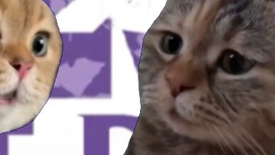 When an Ao fan asked Gaia where the new generation of Gaia had gone