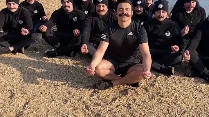 Blitz is meditating.