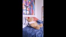 Bad Roommate (2021) Complete Episodes