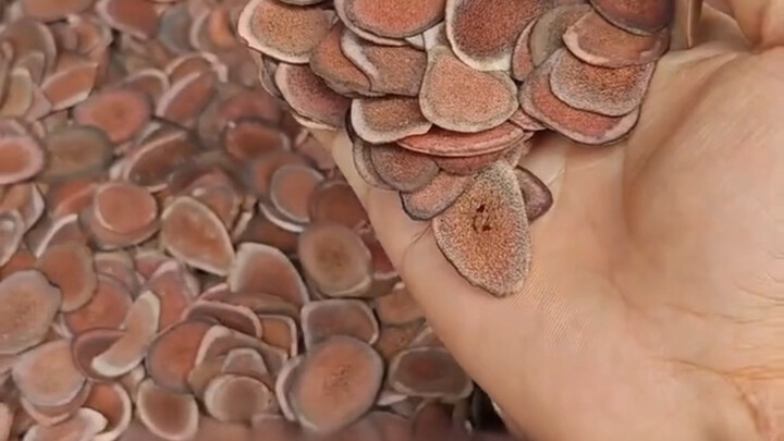 These “IQ tax” scenes on the street make chemistry teachers want to punch someone—and doctors can’t 