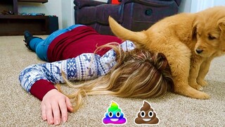 Faking My Death In Front of My Puppy! Summer’s Funny Reaction