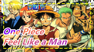 [One Piece AMV] Do you feel like a man