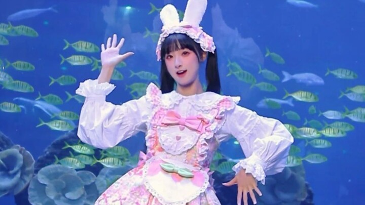She looks like a little bunny ૮꒰˶•༝•˶꒱১