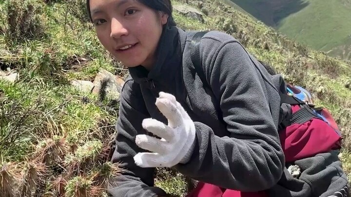 ถั่งเช่าที่สะอาดหมดจด บางคนแม้ว่ามันจะอยู่ตรงหน้า ก็ยังมองไม่เห็น