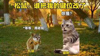 السنجاب: من غيّر موضع المفاتيح خاصتي؟