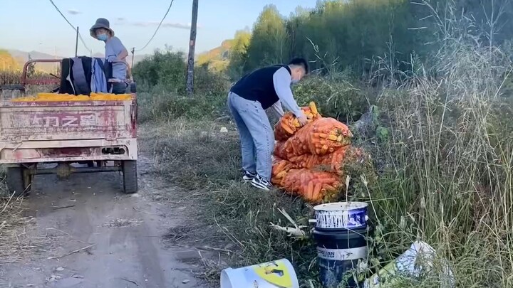Đến nhà vợ, tôi muốn tỏ ra bảnh bao, thế mà bố vợ lại coi tôi như Tường Tử