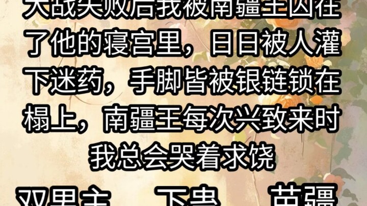 大战失败后我被南疆王囚在了他的寝宫里