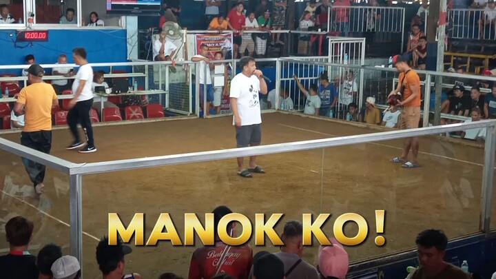 5 manok,dinayo sa malabon,Dampalit ,galing bikol,4wins,1draw
