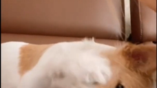 [笑哭][笑哭][笑哭]