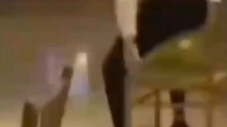 Video Peringatan x1