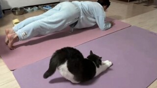 Imitation Master