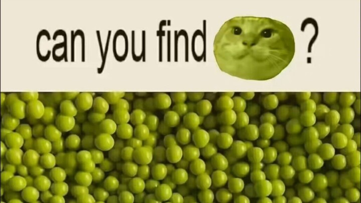 Can you find a nonagenarian in peas?