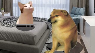 Don't say anything, I don't want to break up with you