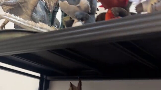 【Patung Meledak】Selamat Datang di Dunia Jurassic Saya