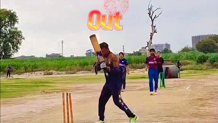 cricket