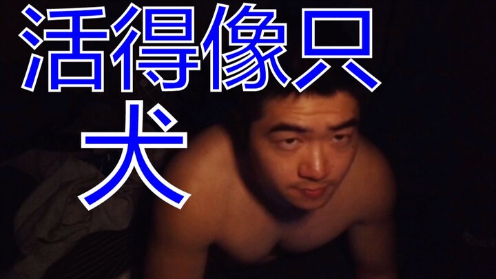 实验话剧《活得像只犬》，人和动物的生存困境有何差异？ | 格瓦拉计划