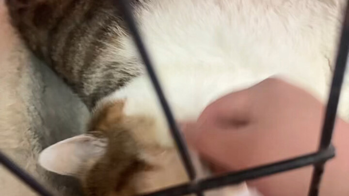 เรียกฉันมาทำอะไรเหรอ?