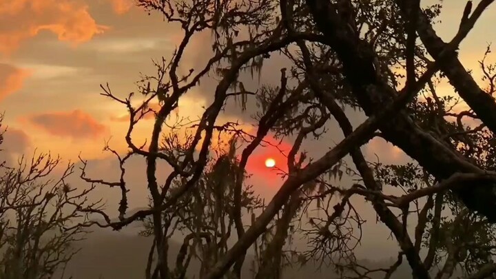 #Peacefull
