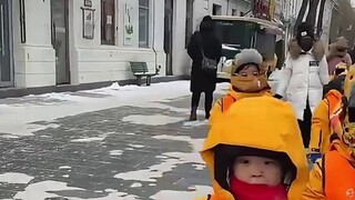 What's the news about One Piece 1104? An explanation of the comic's New Year "break"! What exciting 