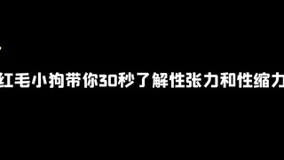 红毛小狗带你30秒了解性张力和性缩力