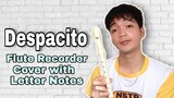 DESPACITO (Luis Fonsi with Daddy Yankee feat. Justin Bieber) Flute Recorder Cover with Letter Notes