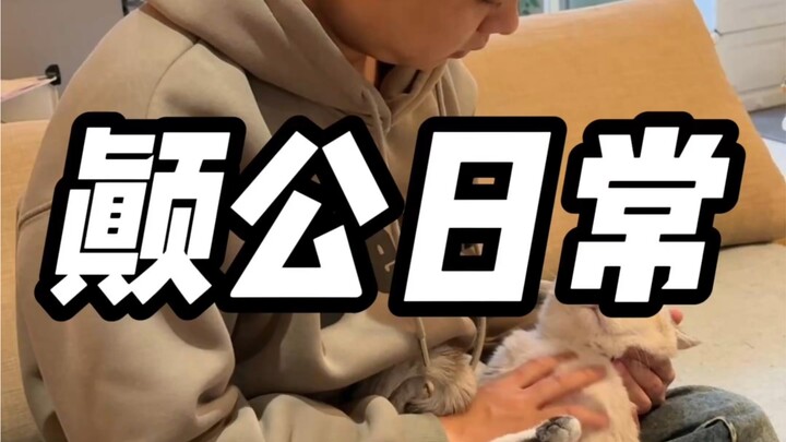 【แมวของอาซิน】ผลงานใหม่เปิดให้ชมแล้ว รีบมาดูกันเลย!