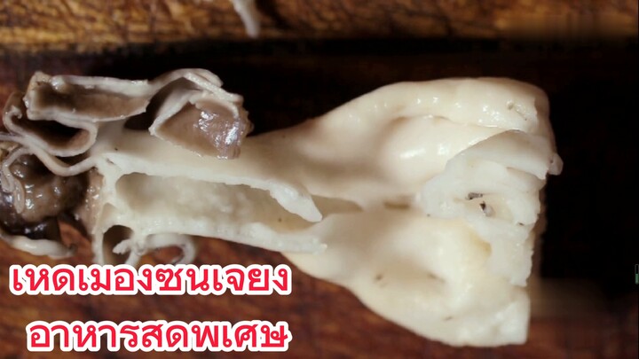 เห็ดเมืองซินเจียง อาหารสุดพิเศษ