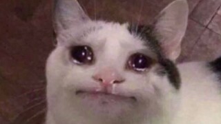 是的，我曾经有一份工作