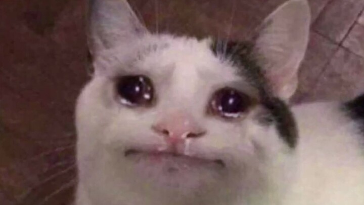 نعم، كان لدي وظيفة من قبل