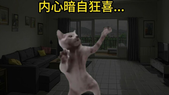 [Meme kucing] Istriku tidak ada di rumah malam ini