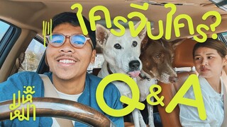 Q&A ใครจีบใครก่อน แววมีแฟนยัง ? หมาตัวไหนดื้อสุด ? - มหึหมา EP95