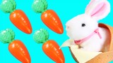 Thỏ ăn cà rốt | Nhật ký chi tiết cách nuôi thỏ con trắng muốt đáng yêu
