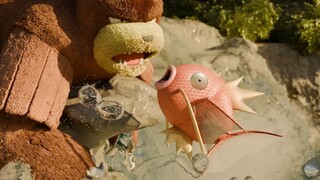 [ Pokémon ] (Phụ đề tiếng Trung) Hệ sinh thái của Magikarp