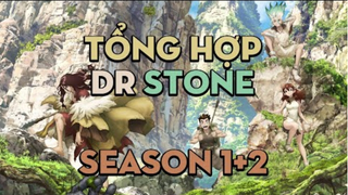 TỔNG HỢP "Em yêu khoa học thời kỳ đập đá" | Season 1 + 2 | tóm tắt Anime Hay|
