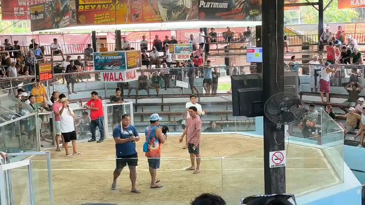 SBR WIN ❤️ ❤️