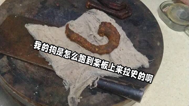 มีใครใจดีขนาดมาเล่นกับสือเหอบนเขียงบ้างล่ะ?