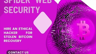 HIRE THE BEST BITCOIN FRAUD RECOVERY EXPERT \ SPIDER WEB SECURITY