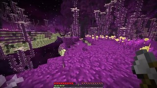 Minecraft nhưng mình sinh tồn ở The End